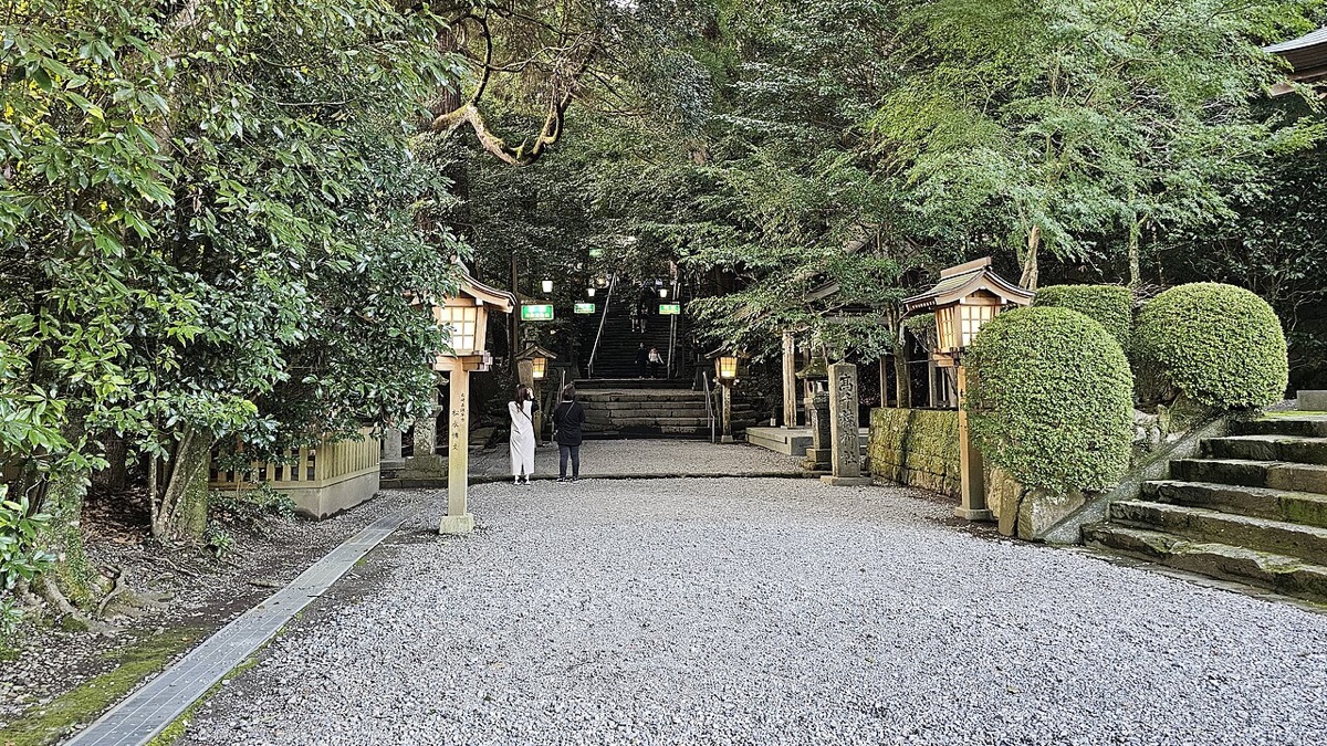 高大杉木環繞的高千穗神社參道